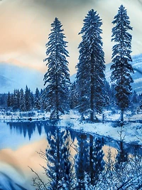 Oversized Reversible Sherpa Jacket for Toddler Boys