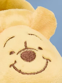 Old Navy x Disney Winnie the Pooh Velvet Slippers for Baby