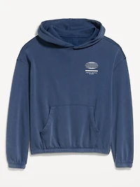 Lived-In Pro Hoodie
