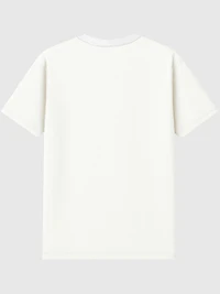 University of Illinois Circle Basketball Graphic T-Shirt for Men