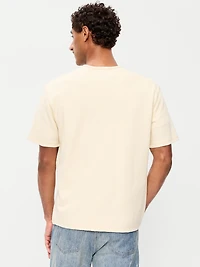 Garment-Dyed Henley Sweater T-Shirt