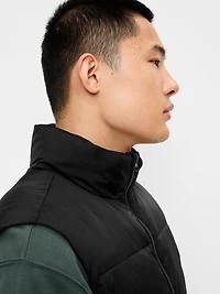 Frost-Free Water-Resistant Puffer Vest