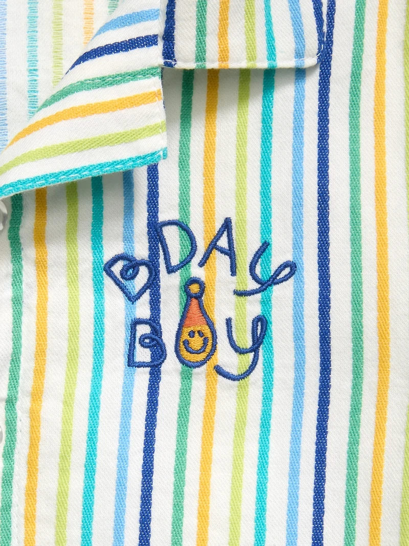 Textured Embroidered Shirt and Shorts Set for Toddler Boys