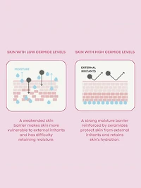Tony Moly Wonder Ceramide Mochi Toner