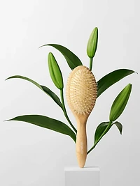 The Hair Edit Glossifier Boar Bristle Brush