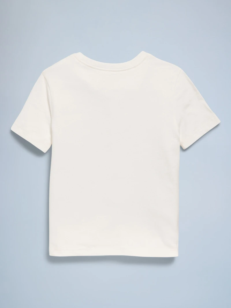 Birthday Graphic T-Shirt for Toddler Girls