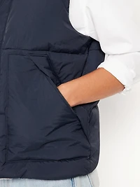 Frost-Free Water-Resistant Puffer Vest