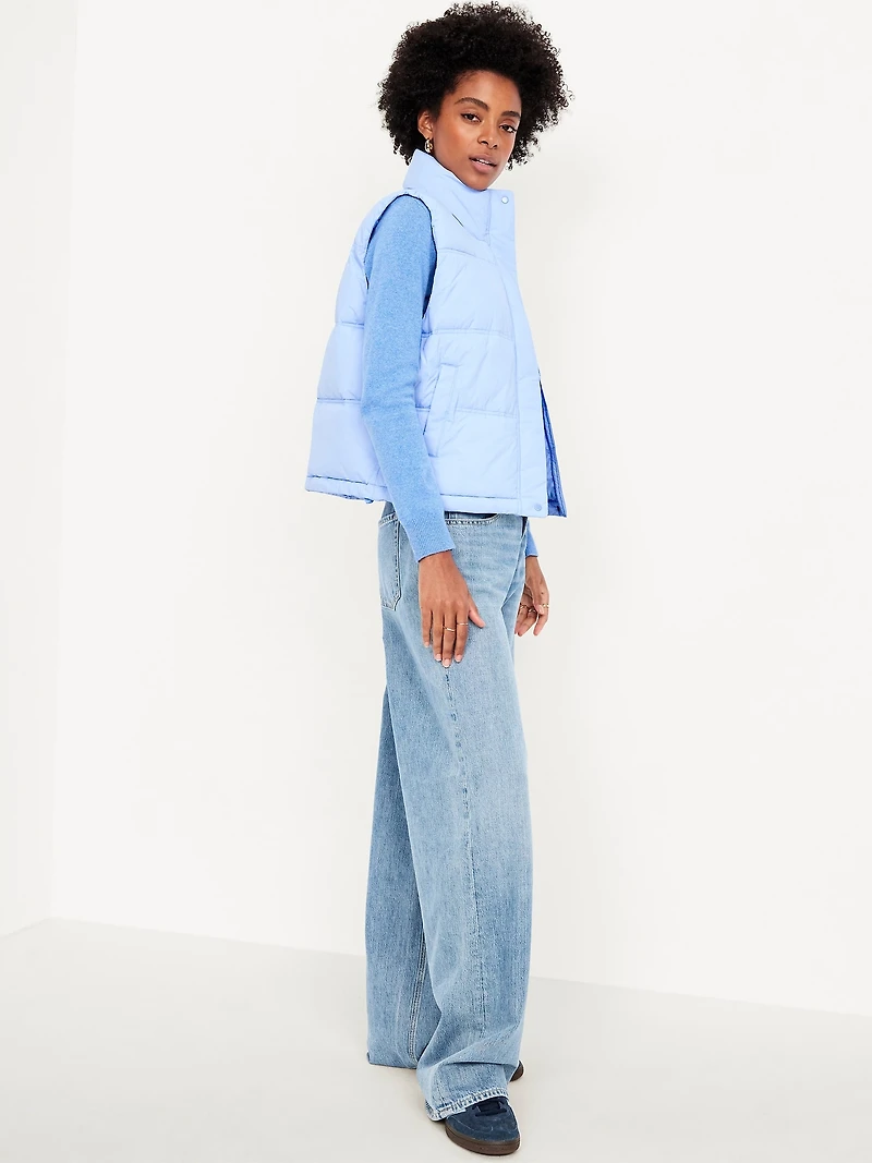 Water-Resistant Puffer Vest
