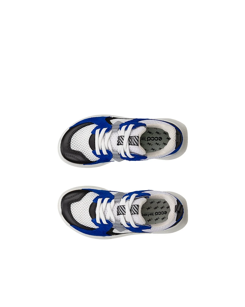ECCO BIOM 2.2