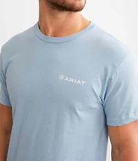 Southwest Stripe T-Shirt