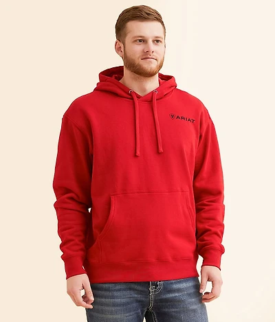Stars & Bars Hooded Sweatshirt
