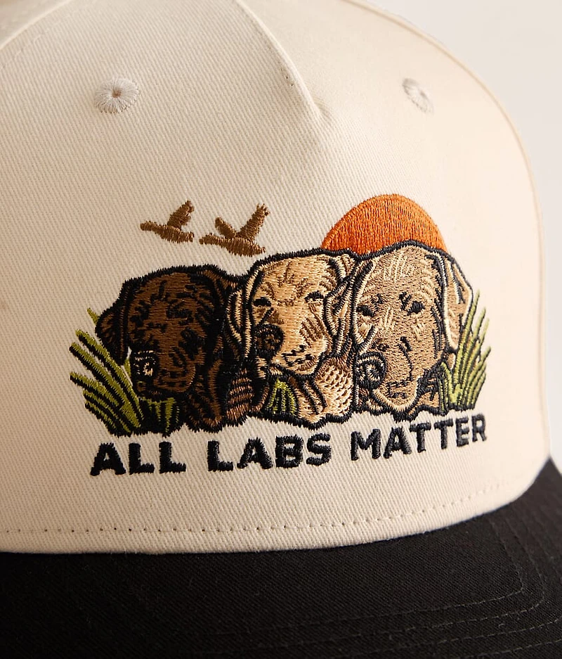 All Labs Matter Hat