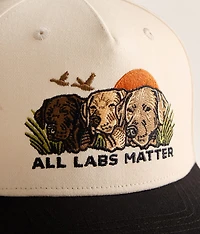 All Labs Matter Hat