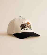 All Labs Matter Hat