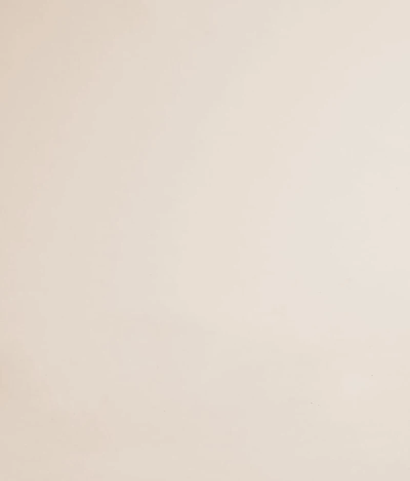 Chaynee Mountain Leather Fringe Tote