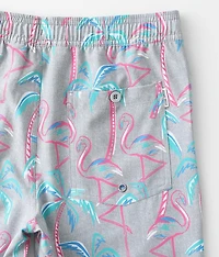 Boys - Tropical Flamingo Stretch Swim Trunks