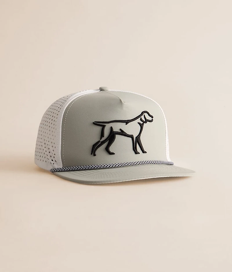 Dog Perforated Hat