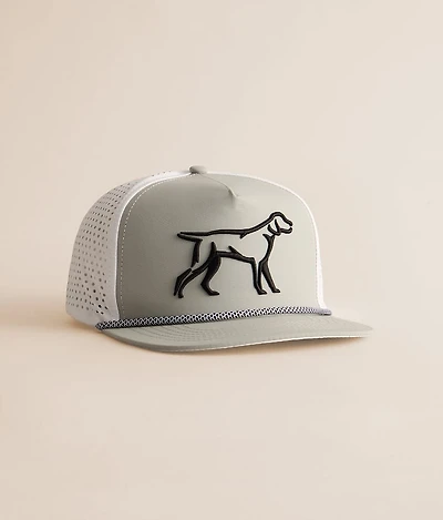 Dog Perforated Hat