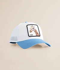 High & Dry Trucker Hat