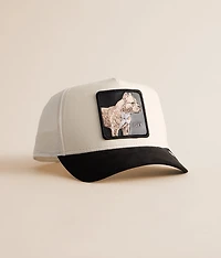 The Faux Suede Pitbull Trucker Hat
