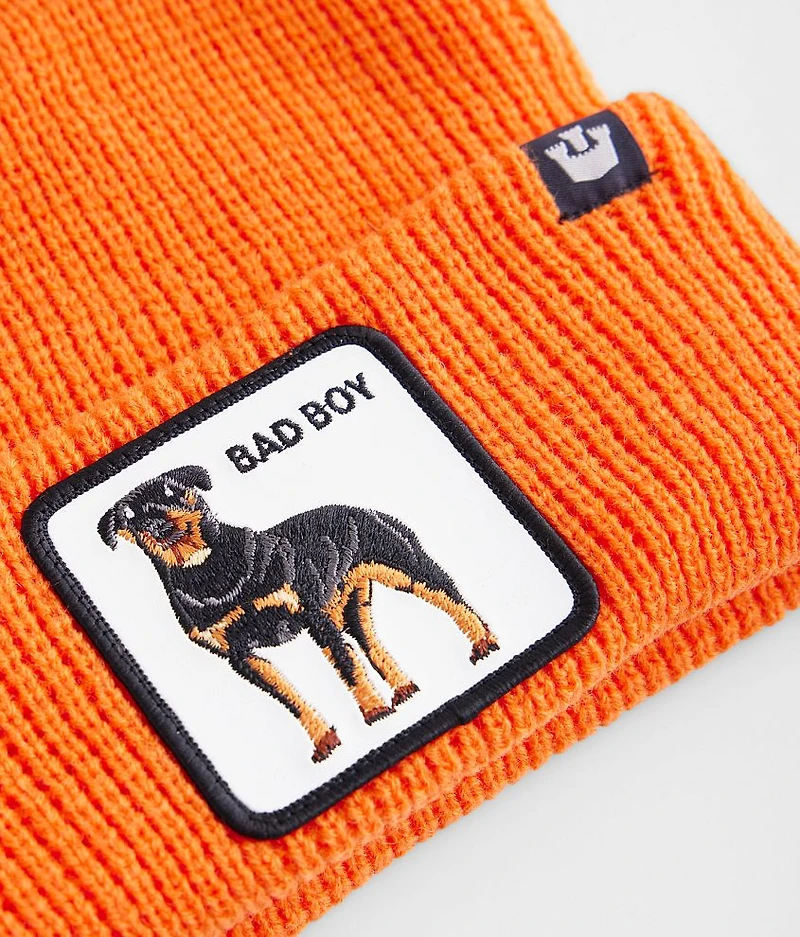 Alpha Beta Beanie