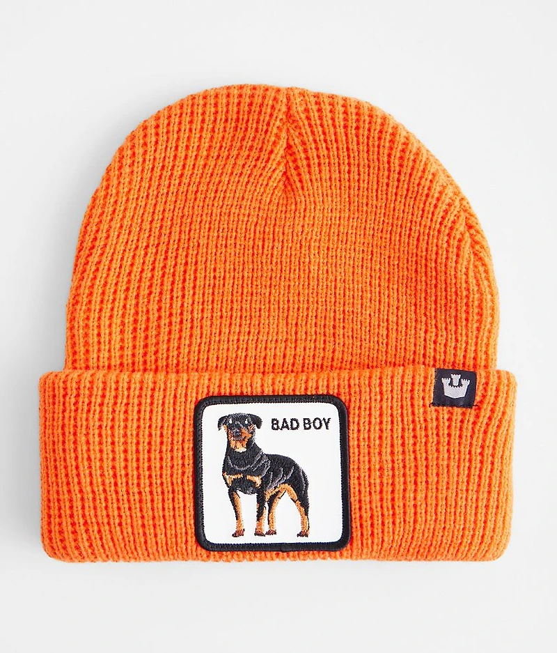 Alpha Beta Beanie