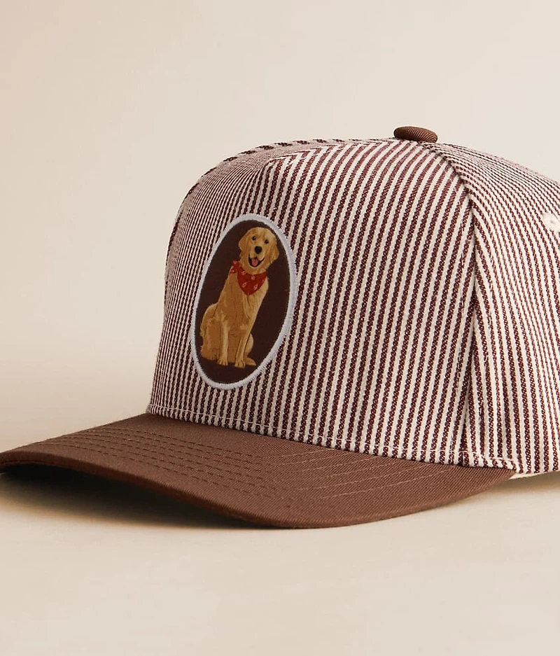 Striped Dog Hat