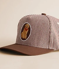 Striped Dog Hat