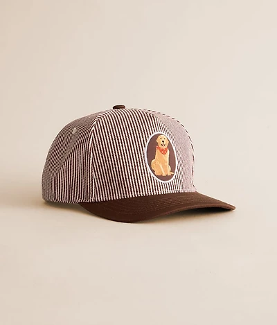 Striped Dog Hat