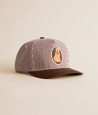 Striped Dog Hat