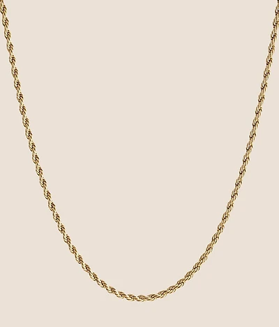 BKE Gold Chain 20" Necklace