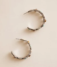Western Stone Earring