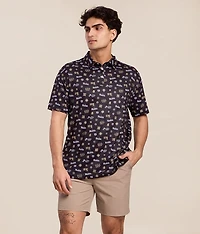 Modelo Polo
