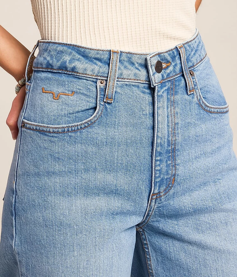 Zoey High Rise Stovepipe Wide Leg Stretch Jean