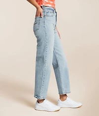 Premium Ribcage Ankle Straight Stretch Jean