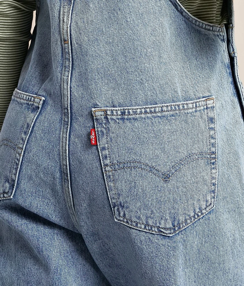 Vintage Denim Overalls