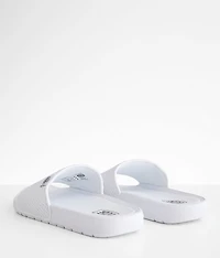 Wendy Chandler Slide