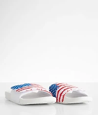 Phoenix Sox Slide