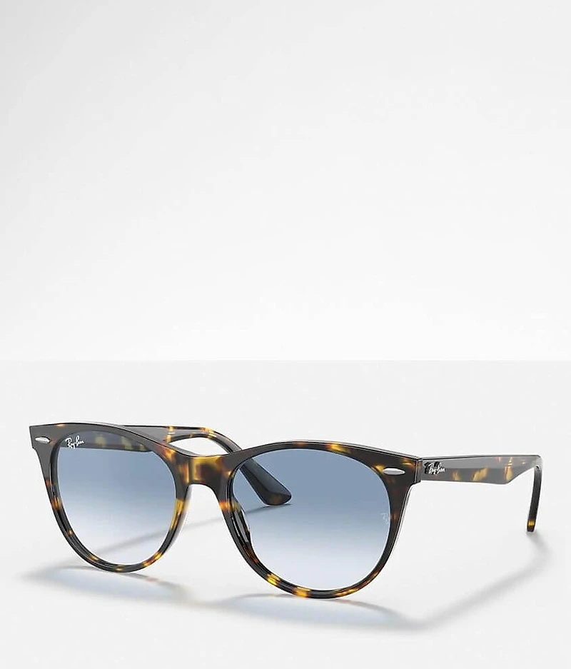 Wayfarer Sunglasses
