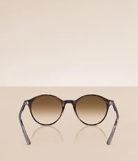 Bernard Sunglasses
