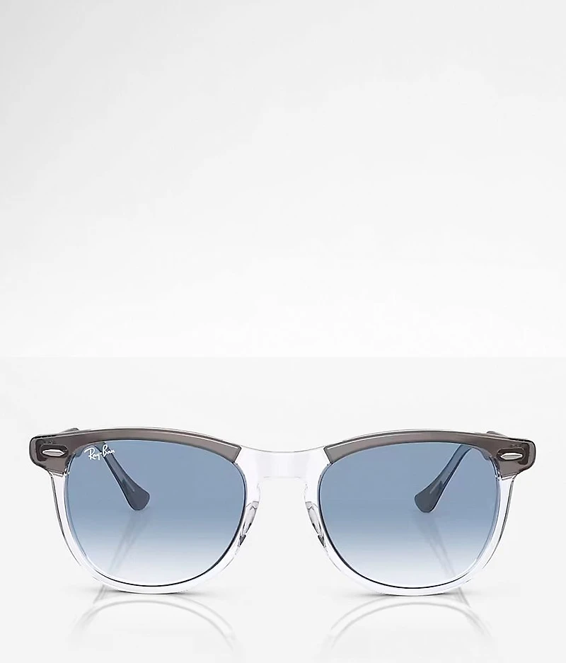 Eagle Eyes Sunglasses