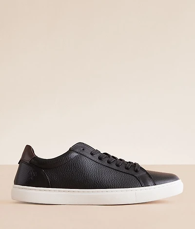 Parker Leather Sneaker