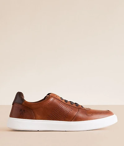 Cole Leather Sneaker