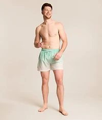 Sonny Dip Dye Stretch Swim Trunks