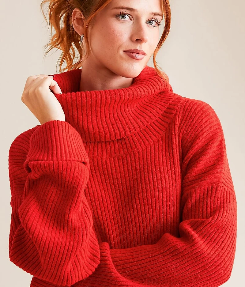 Turtleneck Sweater
