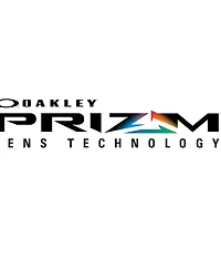 Holbrook Camo Prizm Sunglasses