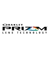 Flak 2.0 XL Prizm Polarized Sunglasses