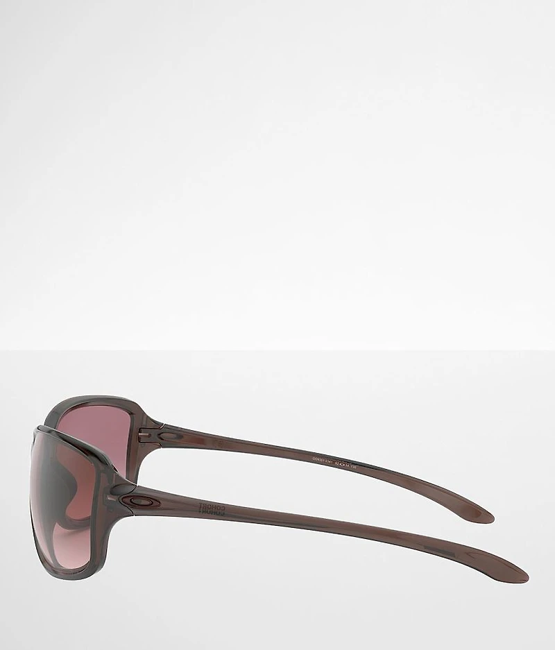 Cohort Amethyst Sunglasses