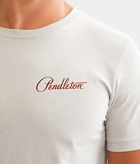 Pinto Mountains T-Shirt