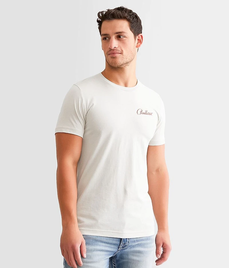 Pinto Mountains T-Shirt